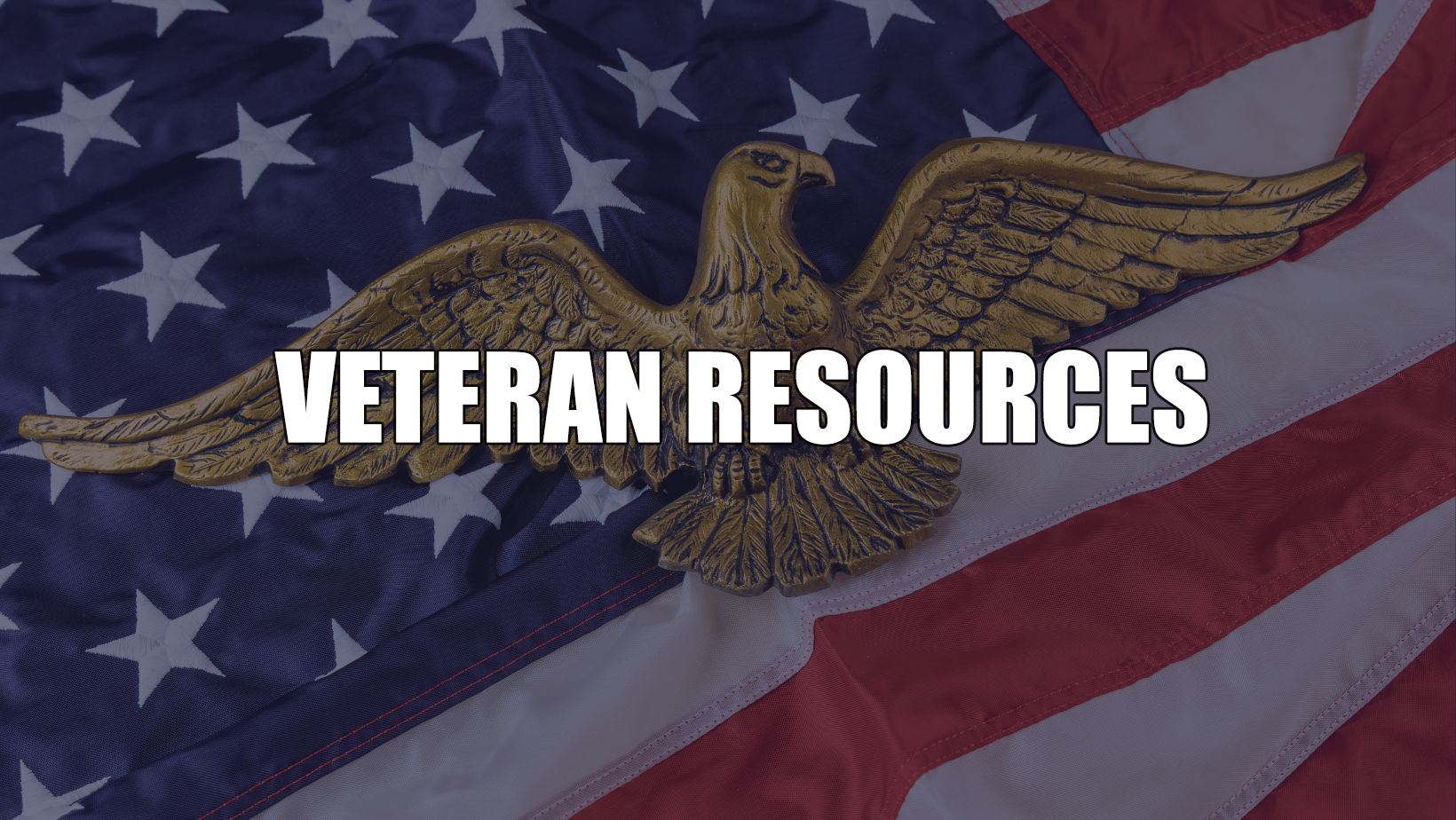 Veteran Resources Webpage Banner