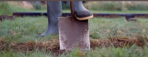 Shovel Digging a Hole